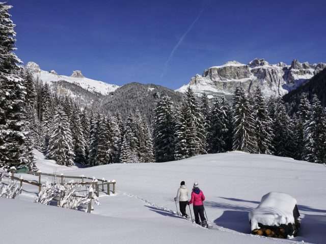 Percorsi iconici nella neve alta